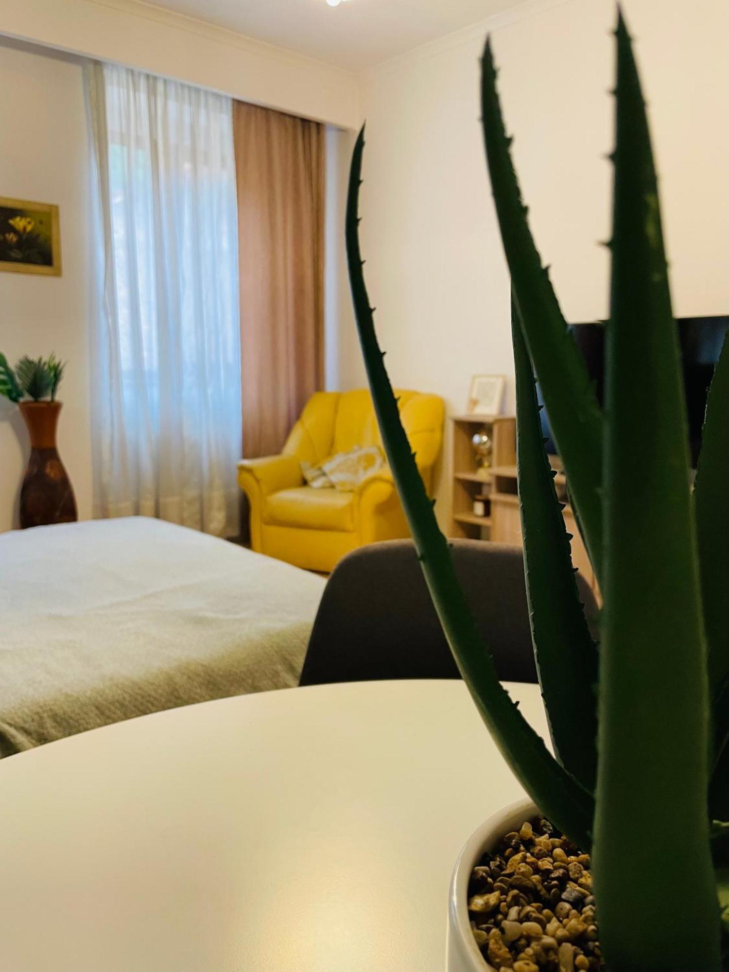 בראשוב Postavarului Residence מראה חיצוני תמונה